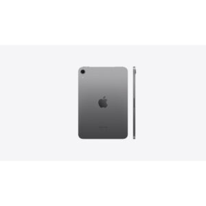 iPad mini (A17 Pro) in Space Gray, back and side