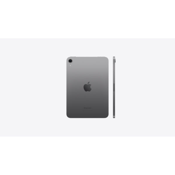 iPad mini (A17 Pro) in Space Gray, back and side